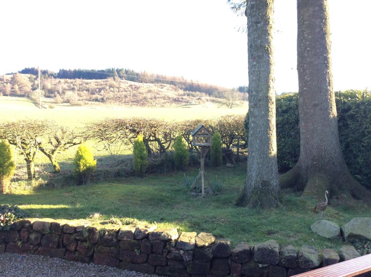 Heron Lodge, Edge Of Mabie Forest Dumfries Extérieur photo