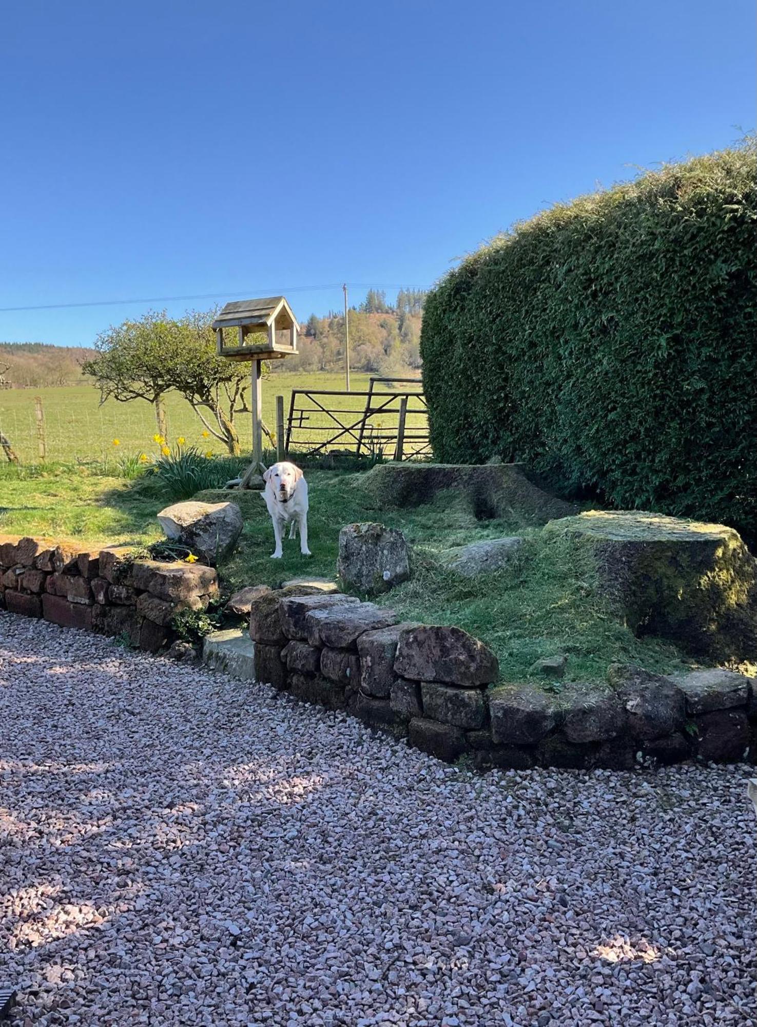 Heron Lodge, Edge Of Mabie Forest Dumfries Extérieur photo